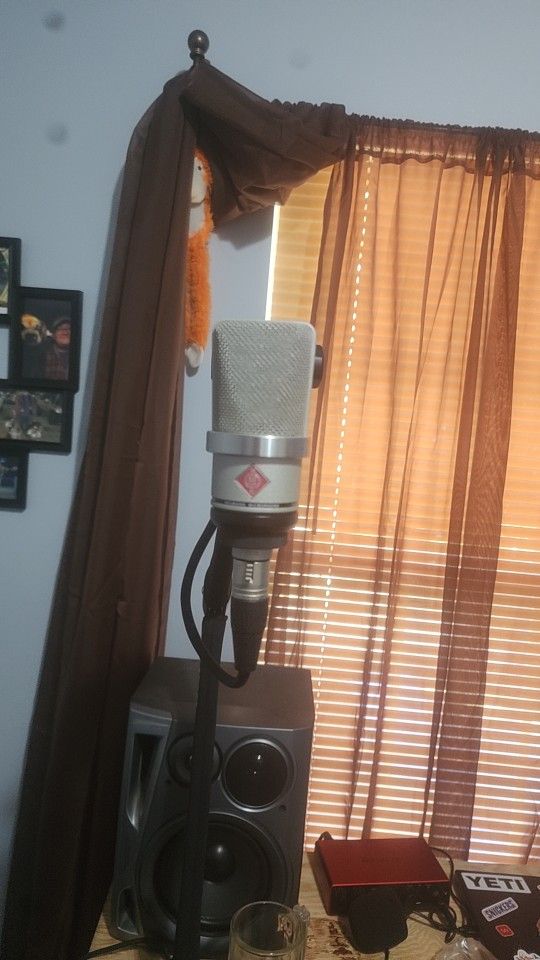 Neuman Tlm 102 Studio Mic.