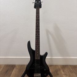 Washburn - Lyon Bass