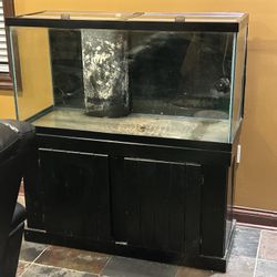 Fish Tank 