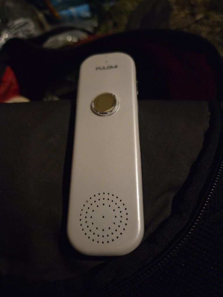PULAMI voice Translator
