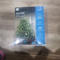 Tree Lights