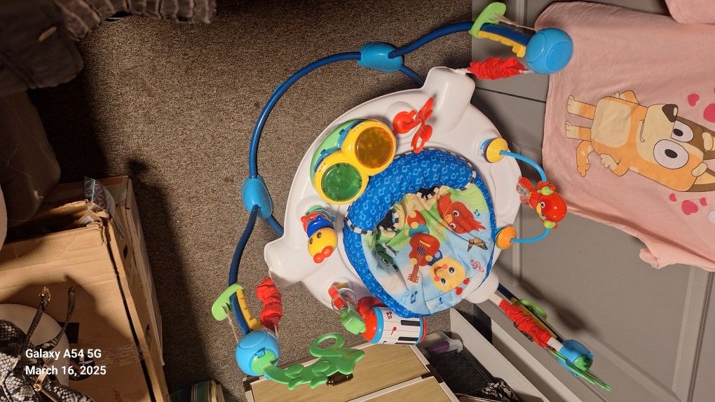 Baby Einstein Neighborhood Symphony Activity Jumper