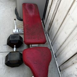 Hammer Strength, Bench Press