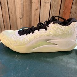 Nice shoes and Jordan size 15