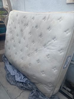 Used Queen Pillow Top Mattress
