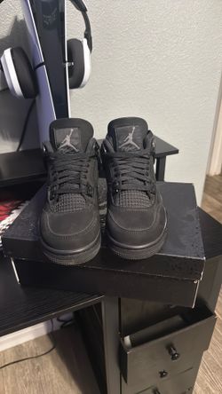 Black cats