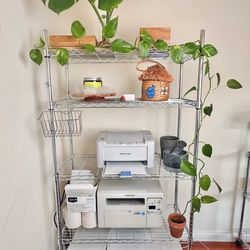 Golden Pothos 70” (5.8’) long  vein Live plant indoor