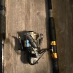 Fishing Poles In One Real