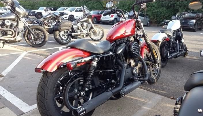 2019 Harley Davidson Sportster 883