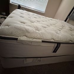 Beaty rest mattress -pick up only