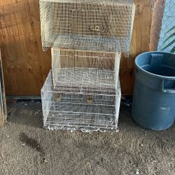 3 Bird Cages