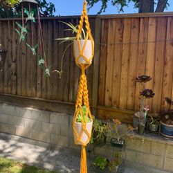 Plant Hanger / Macrame 