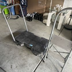 DOLLY & LADDER 50$
