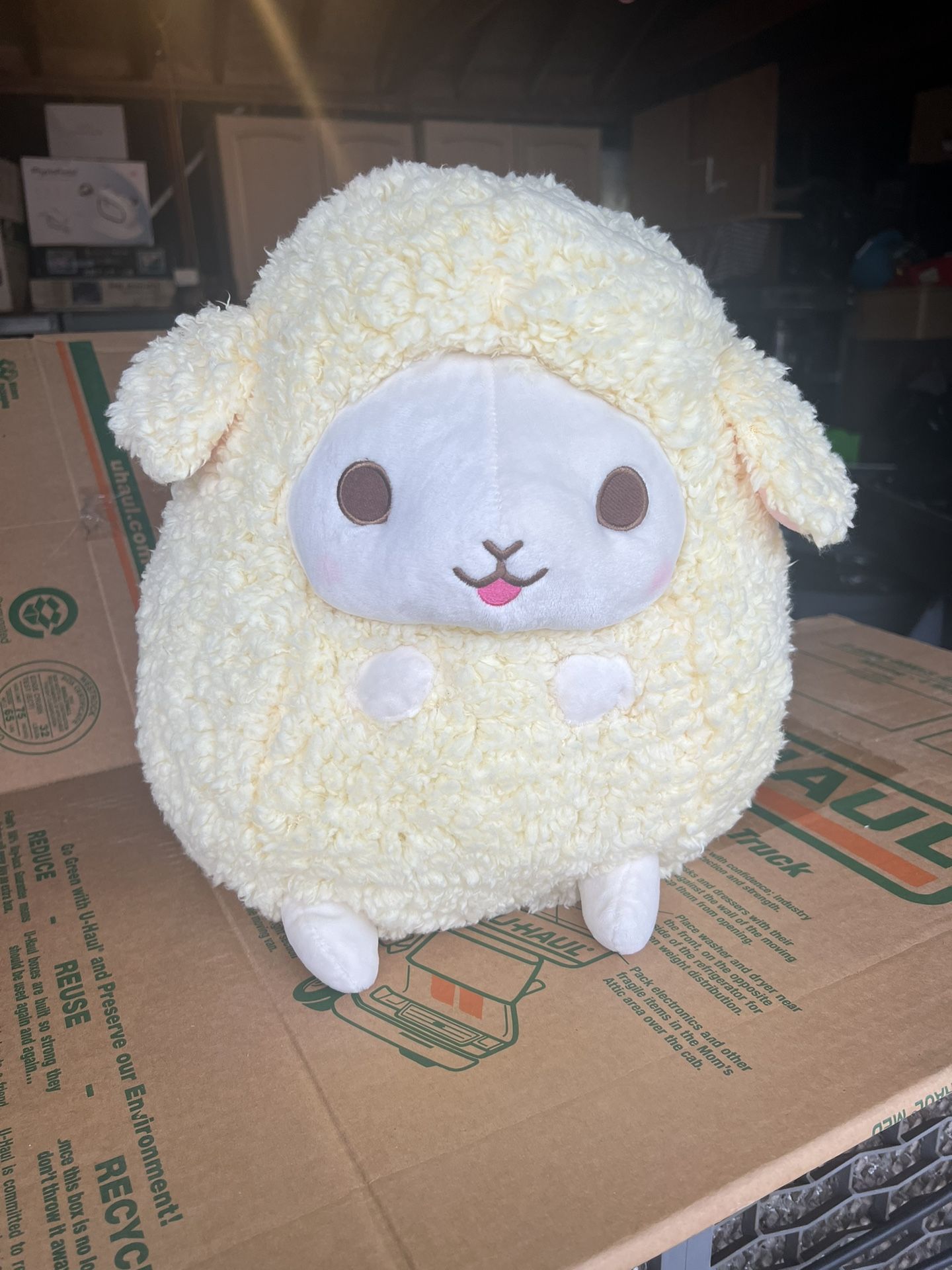 amuse wooly sheep