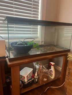 Reptile tank