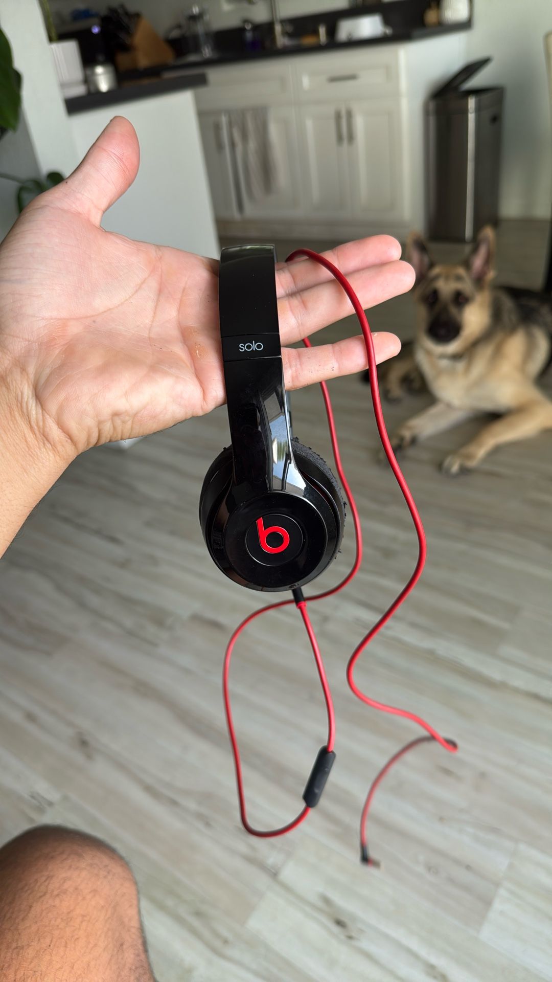 Beat Solo Headphones By Dr. Dre
