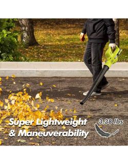 Leaf Blower Cordless