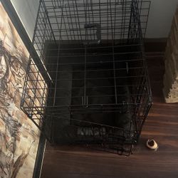 Medium Single Door Folding Wire Dog Crate And Kongo Mat