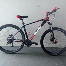 BICYCLE GIANT 21 SPEED SIZE-29 BRAND NEW 
