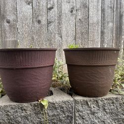Plant Pots 