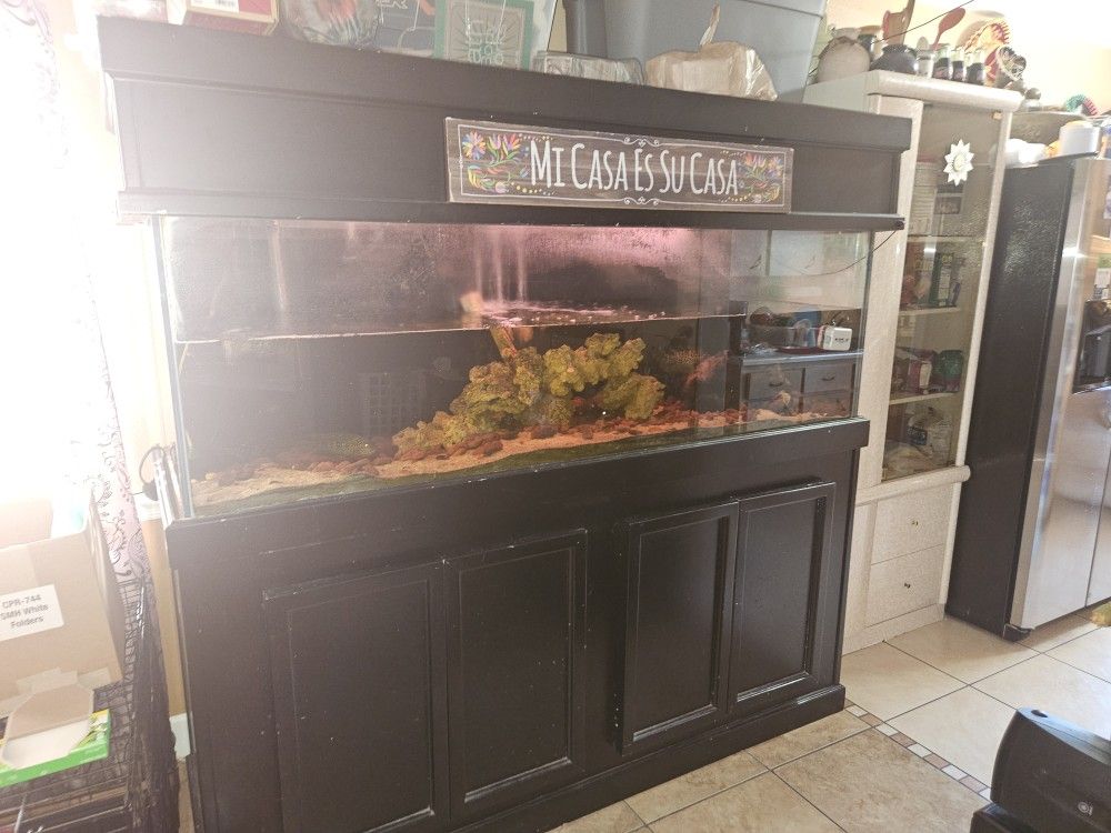 180gl Aquarium