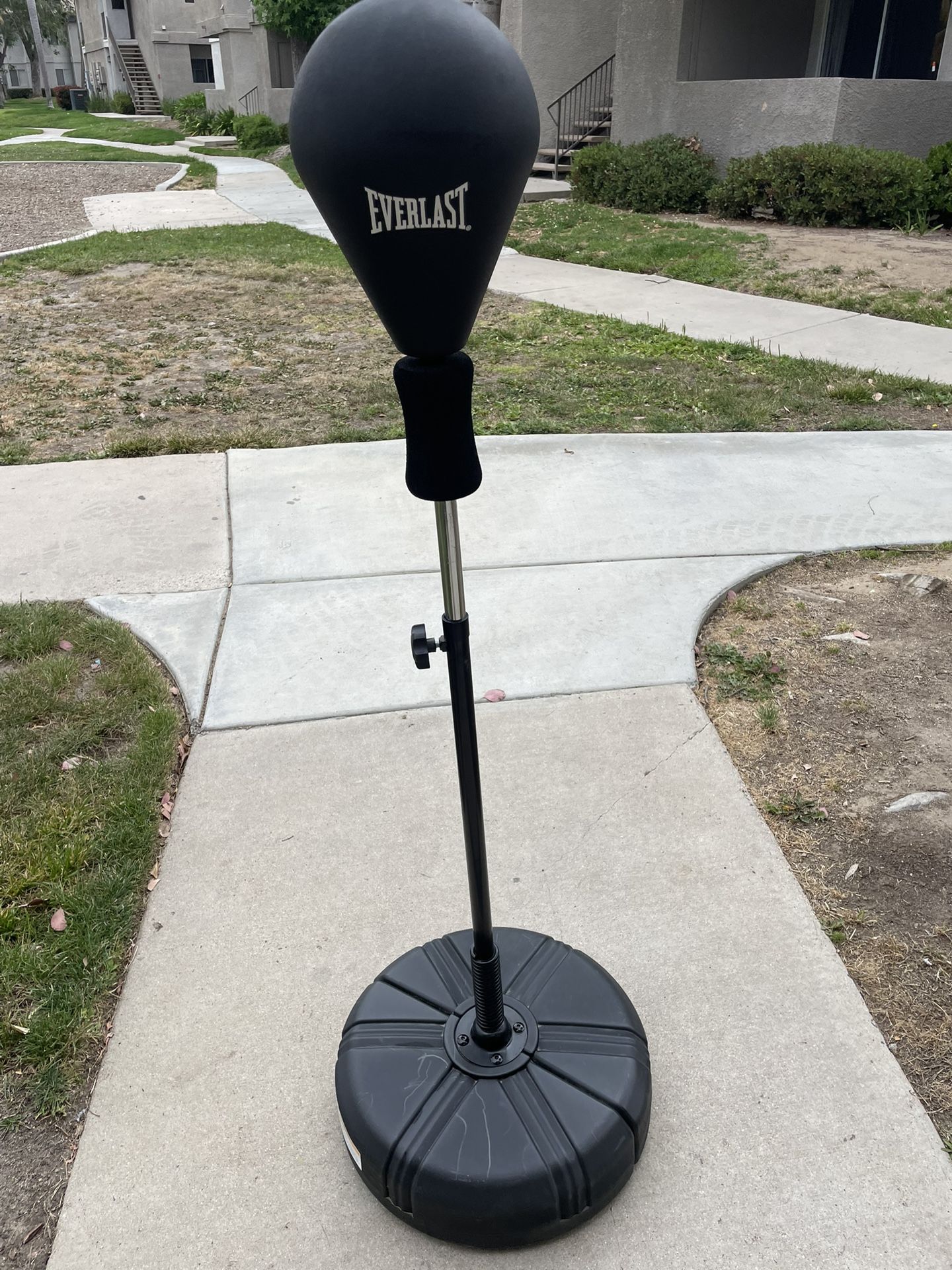 Everlast Reflex Speed Bag Adjustable