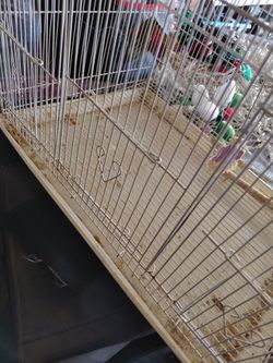 Jaula de pajaro