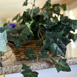 Faux Ivy Plant