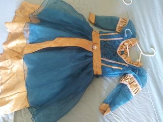 Princess costume blue and gold