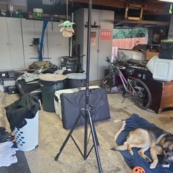 Proline Speaker Stand