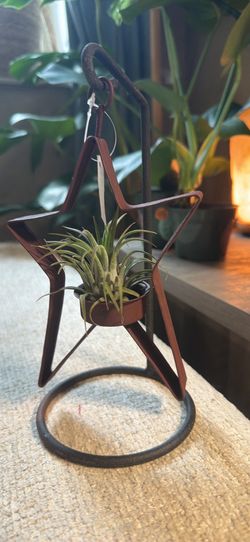 Tillandsia Air Plant with Star Metal Hanger and Stand