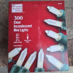 Extencion Con 300 Luces