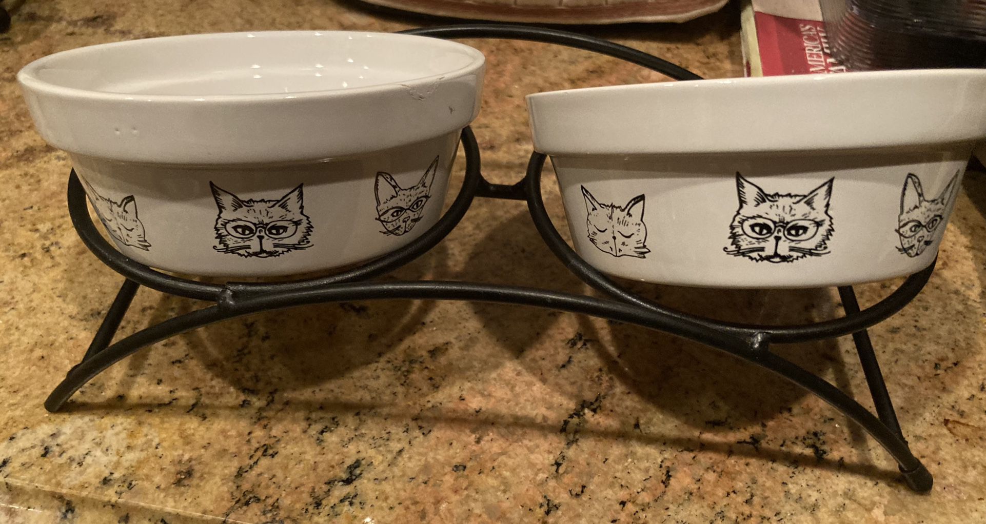 Cat Food Dish Set