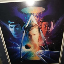 This is the Franklin Mint Star Trek 30th Anniversary 'Beyond The Final Frontier framed print.