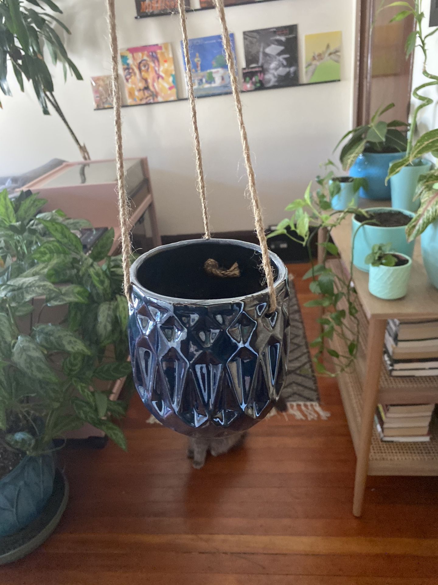 Hanging planter pot