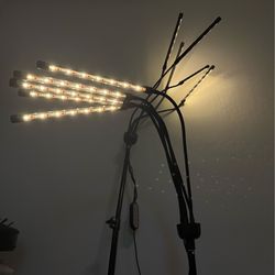 Grow light for indoor plants