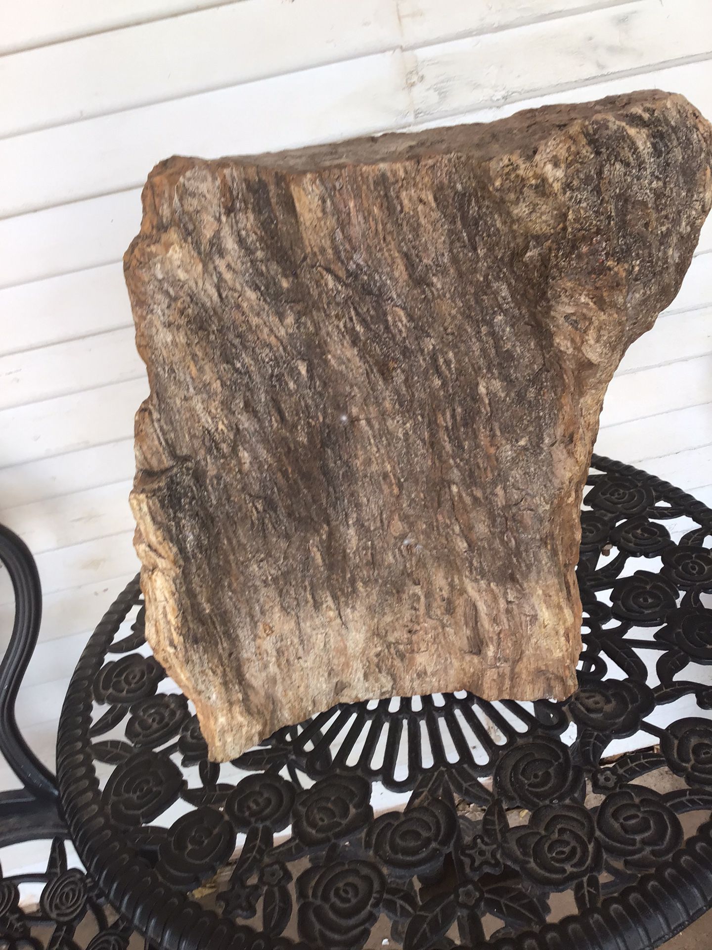 Petrified wood 16 Inches Tall 10 Inches Wide   You Can See The Bark Of The Tree
