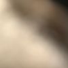 Leonar