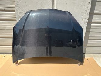 Brand New 2002 - 2006 Acura RSX Carbon Creations Dritech OEM Look Carbon Fiber Hood - Part # 100384