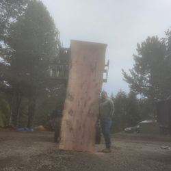 Massive Redwood Live Edge Slab For Dining Table. Price Blowout