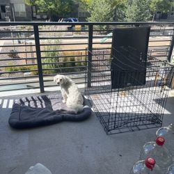 Large Dog Crate