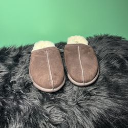 UGG Slippers 