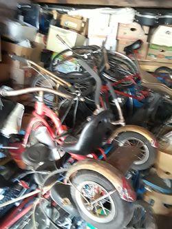 Bicycales