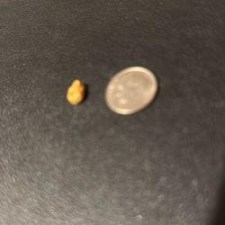 Gold Nugget 
