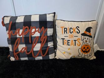 Set of 2 decorative throw pillows for fall/Halloween.