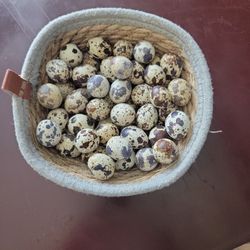Huevos De Godorniz Organicos, Fertiles