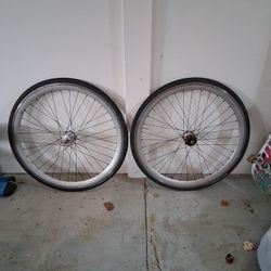Vittoria Randonner Classic  Qundo Hubs