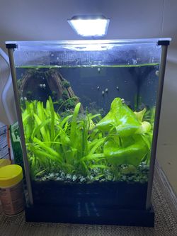 Fluval 2.5 & 5 Gallon Fish Tank