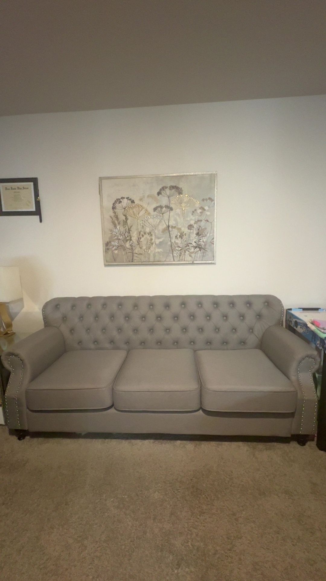 Living Room Couches 
