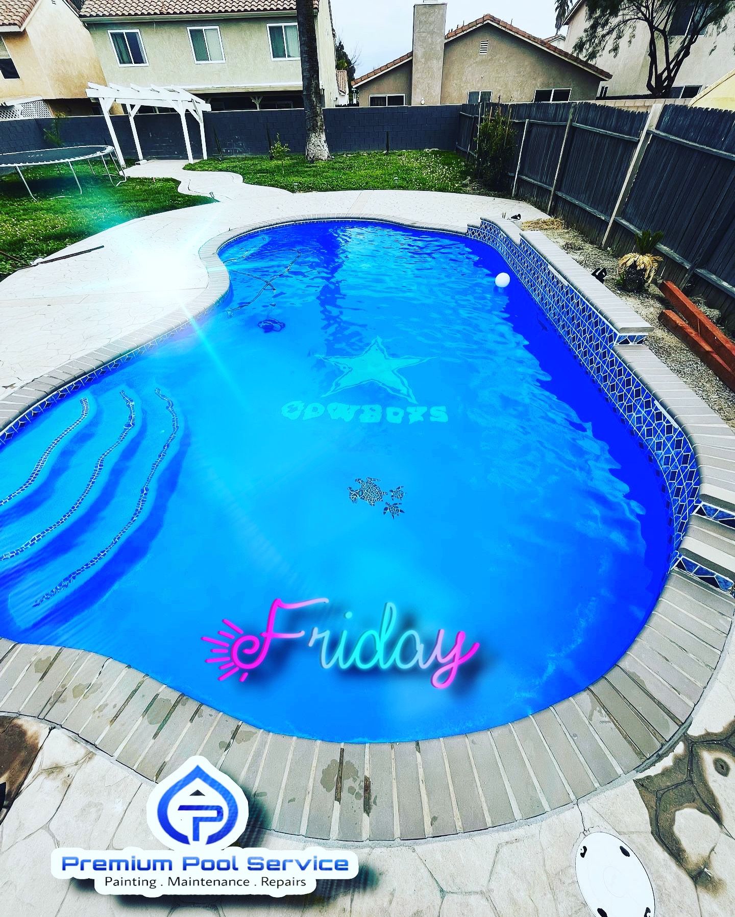 Professional Pool Painter